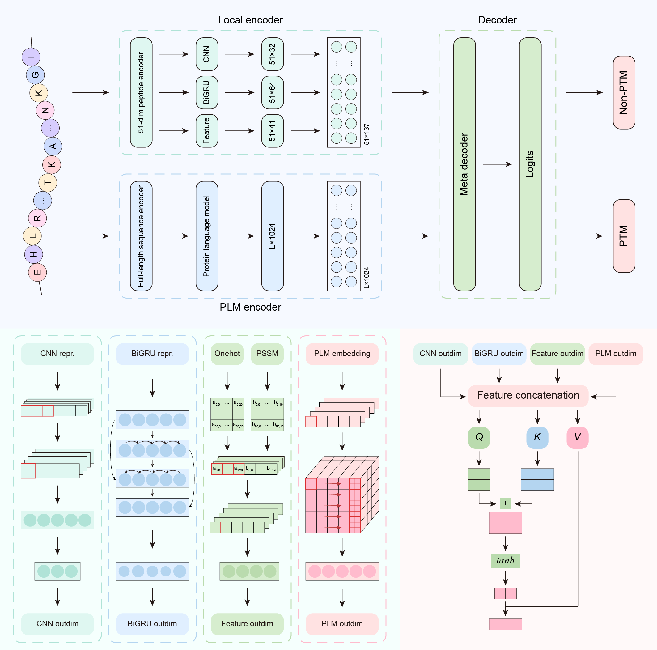 PlantPTM Overview