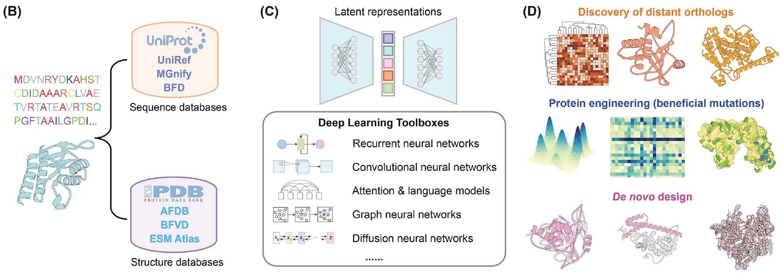 Protein applications