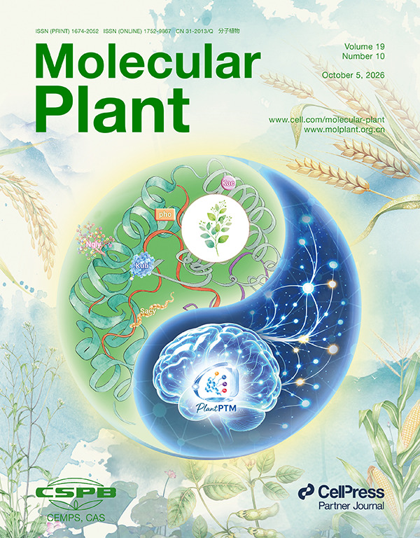 PlantPTM featured on the cover of Molecular Plant and selected as a Featured Article
