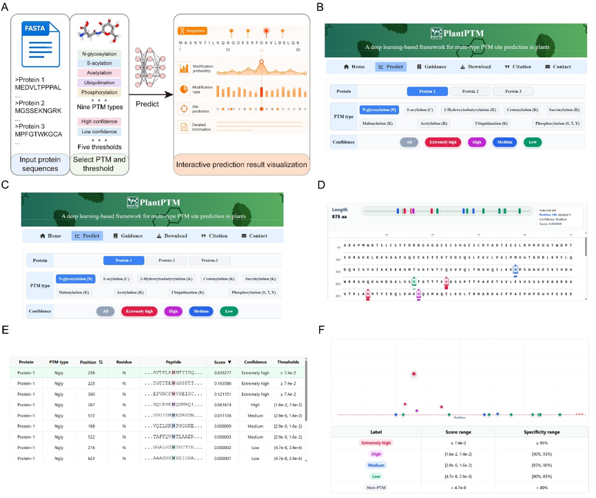 ZLab launches PlantPTM, an AI platform for plant protein post-translational modification prediction