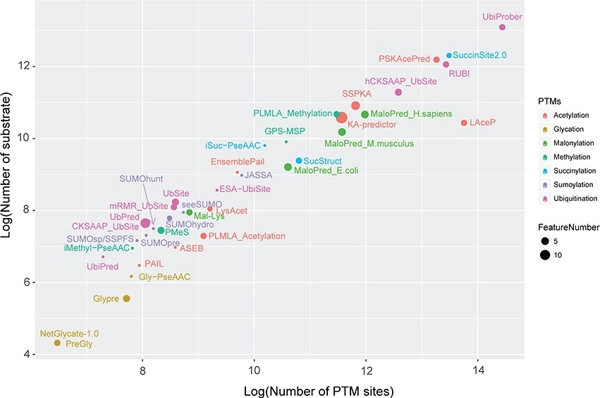 Large-scale comparative assessment of computational predictors for lysine post-translational modification sites