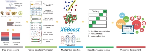 Comprehensive review and assessment of computational methods for predicting RNA post-transcriptional modification sites from RNA sequences