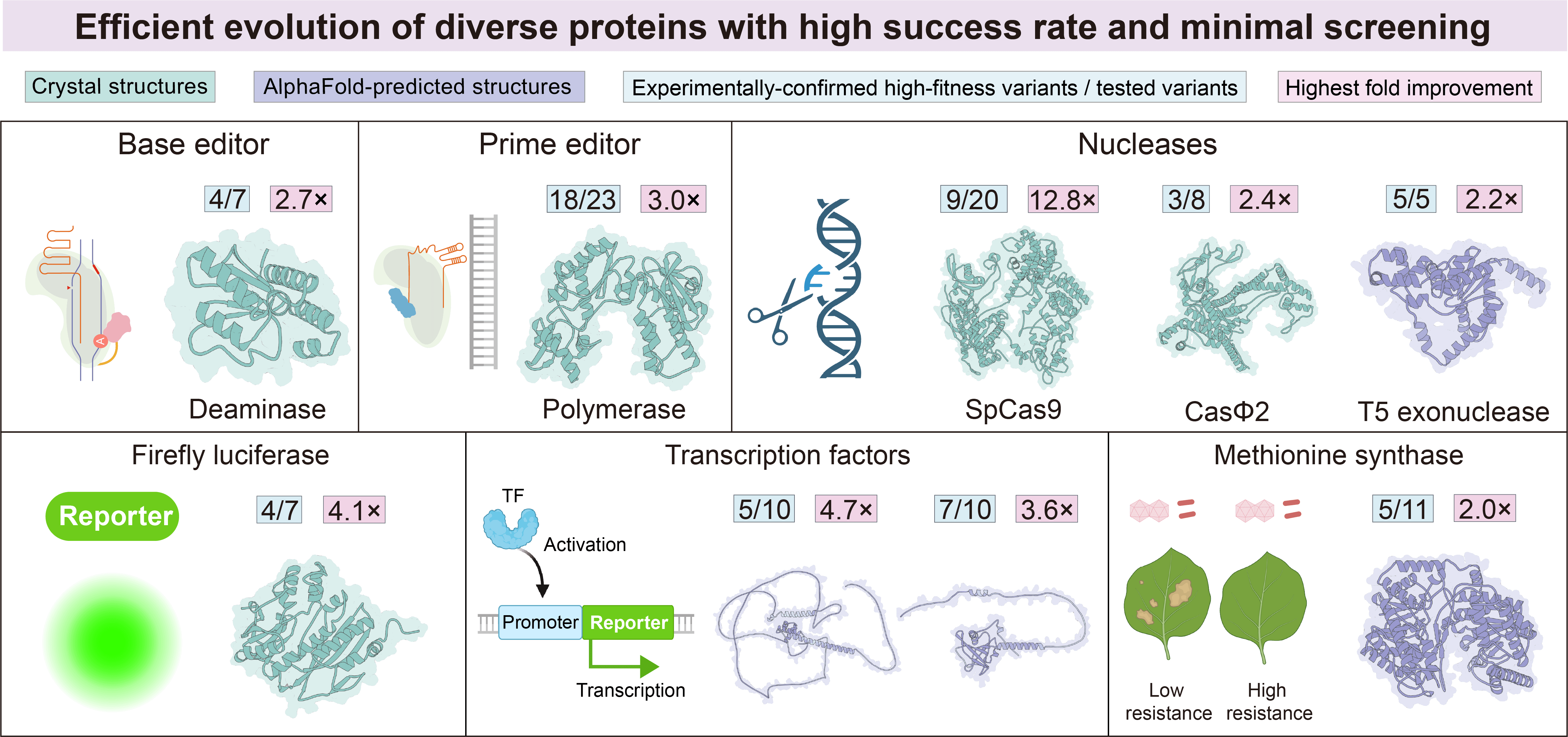 unZipro illustration